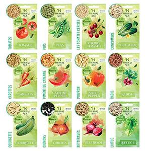 Cadeaux de jardin <span class=keywords><strong>pour</strong></span> femmes, enfants et débutants - Kit de 12 variétés de légumes 5100 prêt à planter <span class=keywords><strong>pour</strong></span> votre propre jardin - Product Image 5