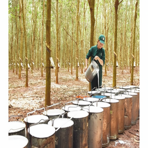 Exportador de Vietnam, Suministro al por Mayor de Látex de Caucho Natural DRC de Grado de Moldeo, 60% HA, Líquido Blanco para Colchones y Guantes - Product Image 1