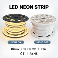 Ruban néon carré de 16 mm, DC24V, IP67, étanche, en silicone, pour la décoration extérieure des bâtiments