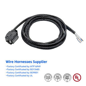 لوحة كمبيوتر مخصصة لمحرك السيارات المكونات الإلكترونية مع كابل - Product Image 2