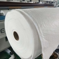 Tissu géotextile non tissé aiguilleté en polypropylène (PP) en rouleau pour la construction routière, le drainage et la filtration