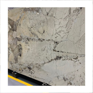 Pandora Granite est une sorte de granit beige ivoire extraite au Brésil. Cette pierre est particulièrement bonne pour les comptoirs, les monuments - Product Image 2