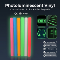 Película de vinilo fotoluminiscente personalizada, cinta oscura con brillo luminoso de 6 horas, Material reflectante para almacenamiento de luz visible durante el día