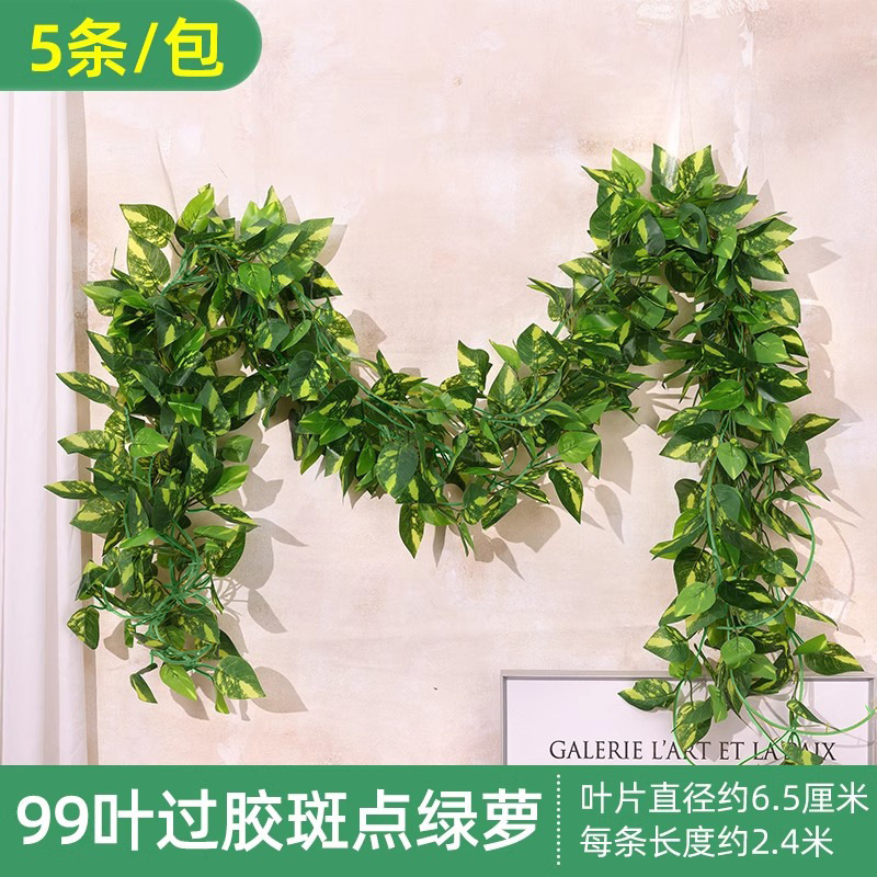 Feuilles de pothos mouchetées à 99 feuilles (5 feuilles)