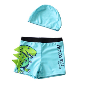 Qilang Maillot de bain pour garçons, imprimé dinosaure, séchage rapide, pour enfants, tout-petits, sports nautiques d'été - Product Image 3