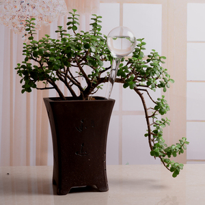 Outil de jardinage de 25 cm, arrosage automatique des fleurs, équipement d'<span class=keywords><strong>irrigation</strong></span> goutte à goutte en verre pour plantes en pot - Product Image 1