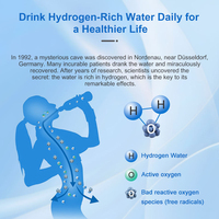 Générateur d'eau hydrogénée commercial, distributeur d'eau froide et chaude, ioniseur électrique pour usage extérieur et domestique, sur table, en plastique, haute performance