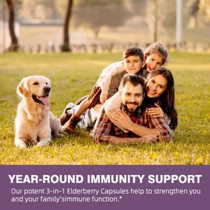 High Potency Elderberry Capsules Support Overall Wellness Improve Immune System <b>Herbal</b> <b>Supplement</b> Capsules - Product Image 2