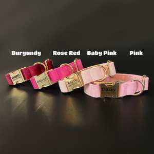 Collar Rojo Personalizado para Perro con Grabado, Juego de Correa y Corbatín - Product Image 4