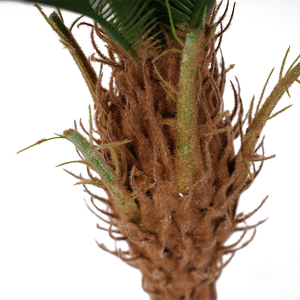 ต้นไซคาส รีโวลูต้า ประดิษฐ์จากพลาสติก ต้นไม้และพุ่มไม้บอนไซ ตกแต่งภายในและภายนอก ทนทานต่อการสัมผัสของน้ำ - Product Image 4