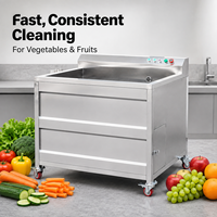 BlinkSong Commerciële Groente- en Fruitreinigingsmachine 304 RVS Belletjes-agitatie Wasmachine voor Restaurant Catering Keuken