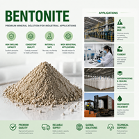 Argile Attapulgite Granulaire Activée 16-30 Mesh pour le Raffinage d'Huile Moteur