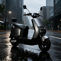 Moto électrique de rue haute performance 2026 avec batteries au plomb 48-72V 800W-3000W, vitesse maximale de 80 km/h, pour la vente en gros