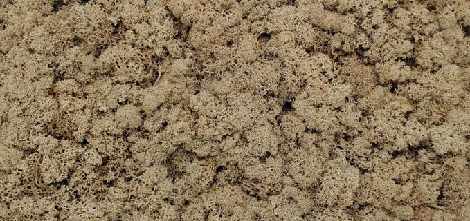 02สีธรรมชาติ