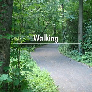 Lector de Libros Electrónicos Simply Media Thoreau's Walking - Product Image 1