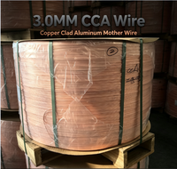 Fil conducteur intérieur émaillé de qualité industrielle en aluminium cuivré (CCA) massif de 3,0 mm, haute conductivité, faible résistance