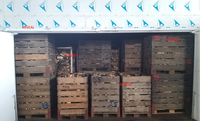 Four de séchage industriel à pompe à chaleur KINKAI pour la déshydratation du bois et des chips de plantain, capacité de 4 à 45 m, prix compétitif, économie d'énergie