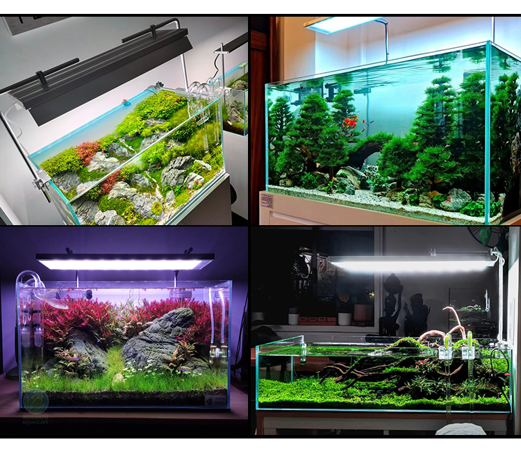 WEEK AQUA L600D PRO RGB LED Aquarium Lighting for 60-80cm