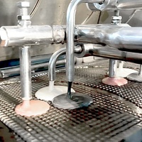 Machine de production automatique de mini gaufres roulées de haute qualité, biscuits sucrés, cornets de crème glacée pour la fabrication