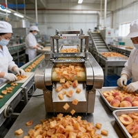 Automatische groentesnijder, mini groentesnijder, grote groentesnijder, fruit snijmachine voor landbouwbedrijven en fruitverwerkingsfabrieken