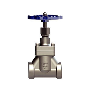 WOBO LDQ-25 2025 2.5Mpa High Sensitivity Cryogenic Globe <b>Valve</b> with 3-Year Warranty for Aerospace LN2 Applications - Product Image 4