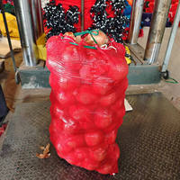 Groothandel 50*80cm aardappel-uien netzak met trekkoord 20kg 25kg 30kg 45kg Sterke PP netzak voor fruit- en groenteverpakkingen