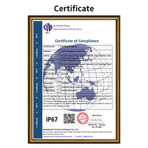 HTW-B2-IP67 300 किलोग्राम/500 किलोग्राम उच्च परिशुद्धता वायरलेस स्केल वजन प्लेटफॉर्म पैमाने स्टेनलेस स्टील के नेतृत्व वाले सूचक बेंच स्केल - Product Image 3