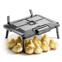 Plaque chauffante HHD WONEGG en promotion pour poussins, canards et cailles, de haute qualité