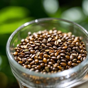 Giá bán buôn Trung Quốc tốt thảo mộc 100% tự nhiên Jue Ming Zi khô tinh dịch cassia occidentalis hạt giống cho trà Trà thảo dược trà cassia - Product Image 2