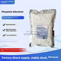 Perles d'absorption de phosphate à base de sel, boîte moderne, purificateur de phosphate pour aquariums marins, accessoires pour aquariums d'eau de mer