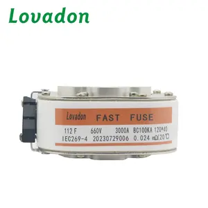 Hot selling link type cut out fused switch Strong breaking force 95 porcelain high-speed fuse wholesale