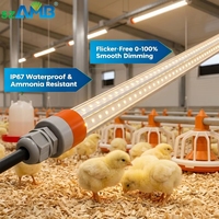 Lumière LED pour élevage de volailles SzAMB IP67 étanche, spectre complet, température de couleur réglable, SMD2835, avec variateur