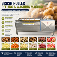 Automatische aardappelwas- en schilmachine met borstelrolreiniger voor zoete aardappel, cassave, wortel, gember en groenteverwerkingsapparatuur
