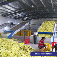 El mejor deshidratador automático de alimentos, hojas de Moringa, col rizada, secador de repollo, limpieza y secado de verduras, equipo de línea de producción