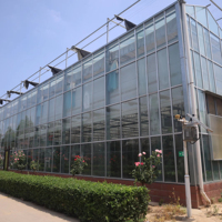 Serre de jardin intelligente Venlo en verre avec structure en acier galvanisé, marque ZHUOTAI, fabriquée en Chine pour un contrôle climatique stable en agriculture