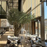 Total solution clé en main ensembles de meubles de salle à manger contemporains pour hôtel restaurant avec tables et chaises