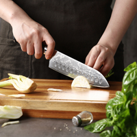 Pisau Santoku Tradisional Jepang Angele 7 Inci, Gagang Resin Ramah Lingkungan, Ambidextrous, Finishing Poles Tinggi untuk Dapur