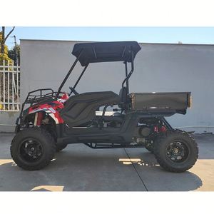 <span class=keywords><strong>2024</strong></span> nuevo UTV de cuatro ruedas con techo para Venta barata - Product Image 5