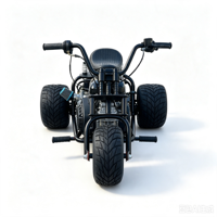 Triciclo de derrape a gas para adultos, kart todoterreno de 3 ruedas, vehículo mini de carreras para todo tipo de terrenos y la