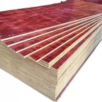 Panneau de contreplaqué de coffrage de construction 18 mm d'épaisseur 1220x2440 mm, collé haute pression pour le moulage de béton préfabriqué