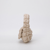 Mini sac à main multicolore tendance coréen élégant nuage plis rouge à lèvres sac à main mignon porte-monnaie matelassé gonflé