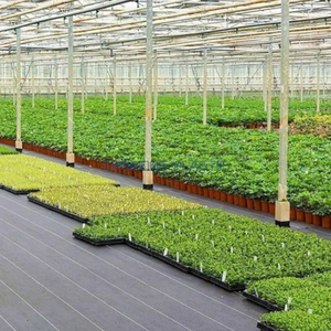 Toile de paillage résistante pour serre et jardin, protection contre les adventices, barrière <span class=keywords><strong>anti</strong></span>-<span class=keywords><strong>herbe</strong></span>, couverture de sol - Product Image 1