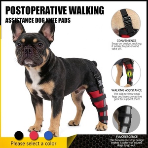 Soporte Clásico para Patas de <span class=keywords><strong>Perro</strong></span> - Protector Postquirúrgico para Hombro y Codo Delantero, Material SBR Cómodo y Protector - Product Image 1