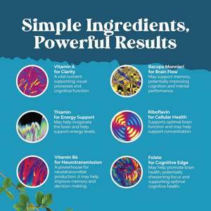 Pílulas Nutricionais Alpha Brian Personalizadas OEM em Promoção, Suplemento para Aumentar o Foco e a Boa Memória - Product Image 3