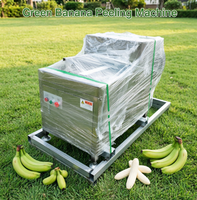 Automatische groene bananen- en plantainenschiller