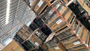 Nouvelle condition automatique volaille Defeatherer Machine 65 Plucker acier inoxydable à vendre - Product Image 6