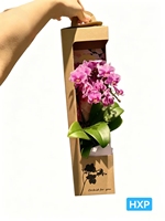 Boîte à fleurs portable en papier kraft personnalisée avec fenêtre, pliable, pour orchidées Phalaenopsis, plantes en pot, cadeau
