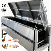 Machine à éplucher la volaille horizontale, entièrement en SUS304, éplucheuse automatique pour oies et dindes, certifiée CE, ligne de transformation d'abattage