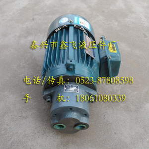 Unidades de Motor de Bomba de Aceite de Engranajes de Accionamiento Directo CB-B16JZ, CB-B20JZ, CB-B25JZ, CB-B32JZ para Bombeo en Campos Petrolíferos - Product Image 2