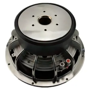 Professionale 12 pollici Subwoofer Altoparlante per Auto Audio dual voice coil